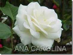 CAN9MU94CAMZ09MDCARY9VFICARTJSY9CA4606KICA3PH3T4CA785WMACA3G0R8TCAARZ1M0CAGROYHZCA9LUWZGCASXLM0ECAHGI2WNCAYKYYPDCATS0GA9CA2256VBCAQAZQ3NCAVEC2JU