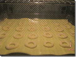 IMG_1415 IMG_1415