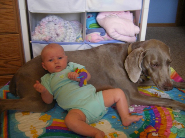 [Picture 144[2].jpg]