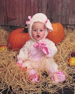 [ccd14b02-fddd-4d63-bc69-f04f3b897543w[2].jpg]