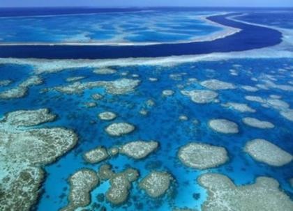 [Barreira de Coral Australia[4].jpg]