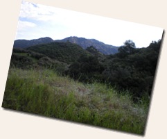 PCTR Malibu Creek 2