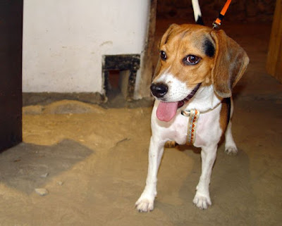 [Event]客家印象．08'巡迴展：竹北六家新瓦屋參觀心得！ - 阿祥的網路筆記本