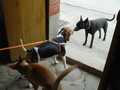 [Event]客家印象．08'巡迴展：竹北六家新瓦屋參觀心得！ - 阿祥的網路筆記本