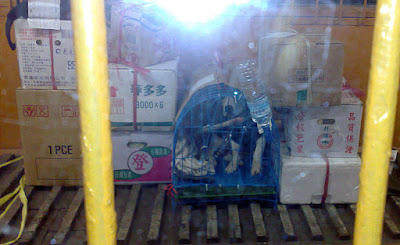 [Dog]乖乖待在貨車車廂的米格魯弟弟！ - 阿祥的網路筆記本