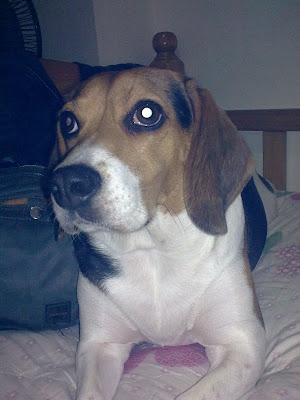 [Mobile]Nokia 5800 XpressMusic入手！不過不是我的… - 阿祥的網路筆記本