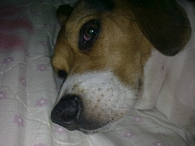 [Mobile]Nokia 5800 XpressMusic入手！不過不是我的… - 阿祥的網路筆記本