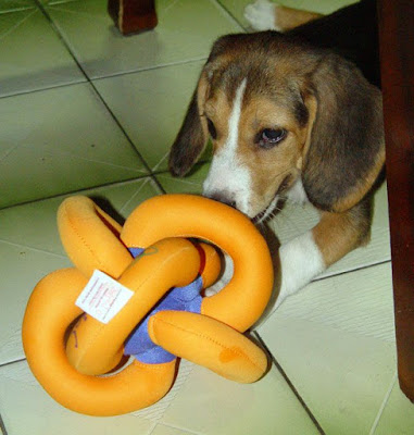 [Event]2009台北水族暨寵物用品展一日遊！ - 阿祥的網路筆記本