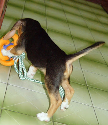 [Event]2009台北水族暨寵物用品展一日遊！ - 阿祥的網路筆記本