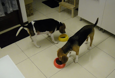 [Home] 新居入宅囉！第一天小記！ - 阿祥的網路筆記本