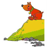 up.jpg