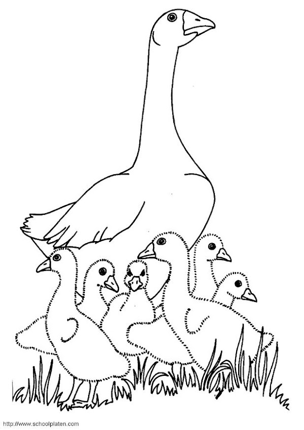 Rumble In The Jungle Coloring Pages / Jungle Coloring Page Jungle Coloring Pages Jungle Crafts Rainforest Theme - What jungle animals do you see?