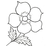 primavera-pensamiento-01.jpg