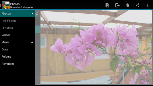Screenshot Nexus Media Importer v8.0.4