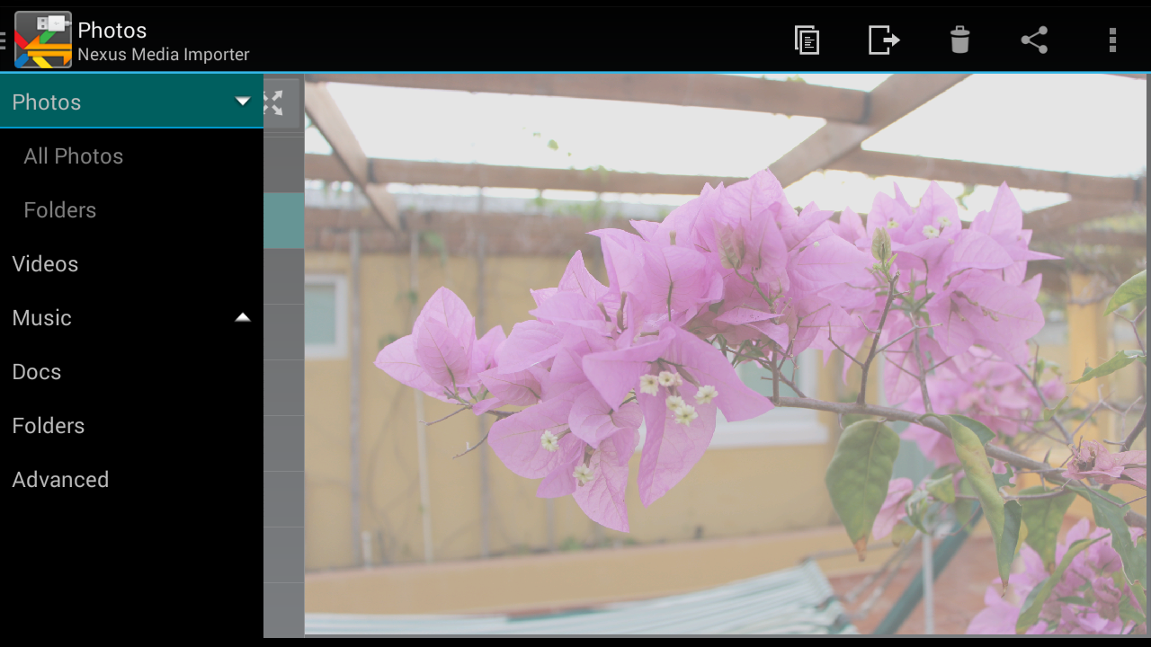 Nexus Media Importer - screenshot