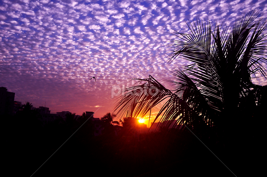 A lonely noon & A colorful sky .  by Ashraf Robin - Landscapes Cloud Formations