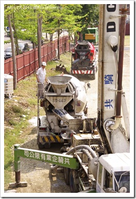 April 27, 2011 @Asia-U cement trunks2