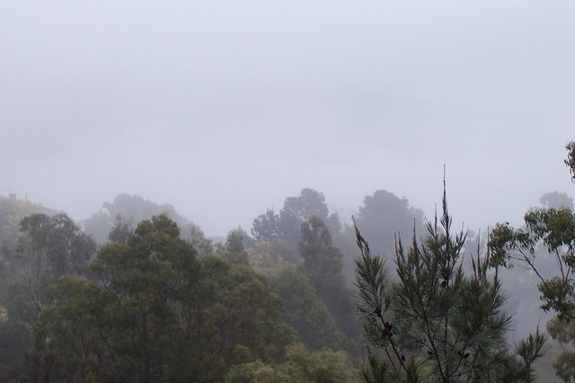 [mt wellington on a foggy wet day[2].jpg]