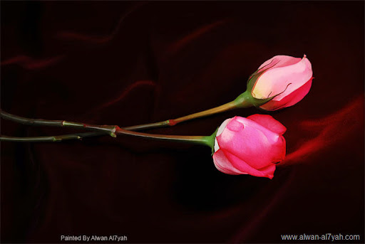 http://lh4.ggpht.com/_RUvOWiZLexQ/SYBAG5KwiWI/AAAAAAAAAPs/Evm9ovr4UFY/alwan-al7yah-cksu.jpg