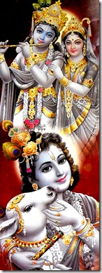 Lord Krishna pastimes