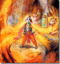 Krishna devouring a forest fire