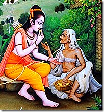Rama eating the fruits offered to Him