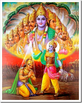 Krishna's universal form