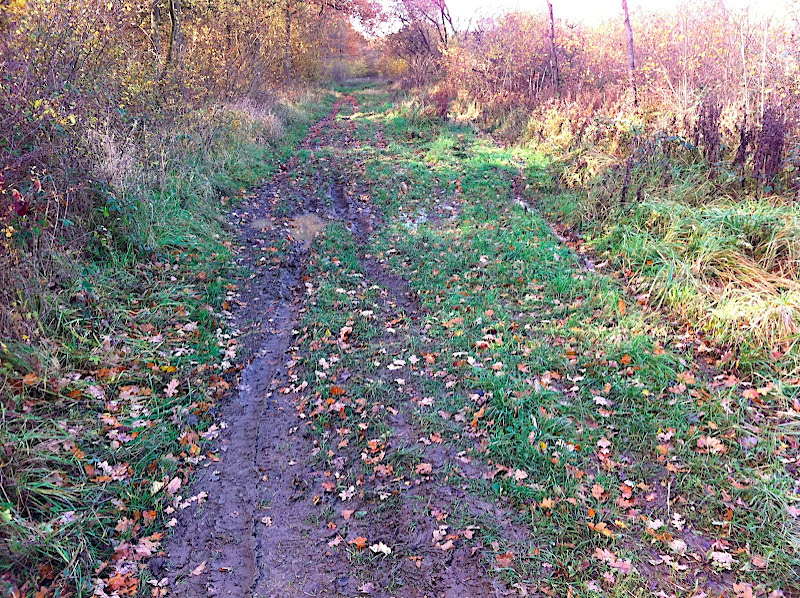 photo%2002.JPG