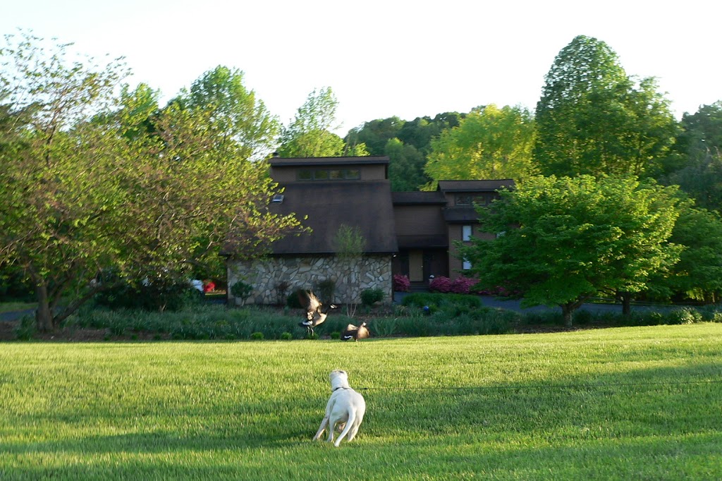 P1100189.JPG