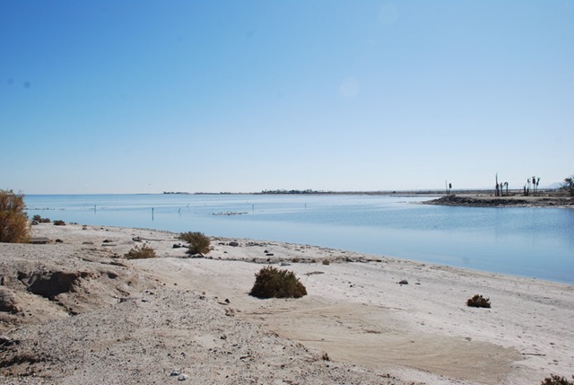 [02-08-10 D Salton City Salton Sea 015[3].jpg]