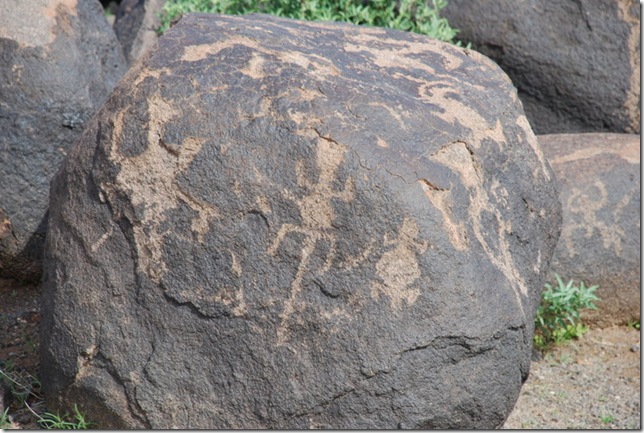 03-02-10 Painted Rock Petroglyph Park (51)