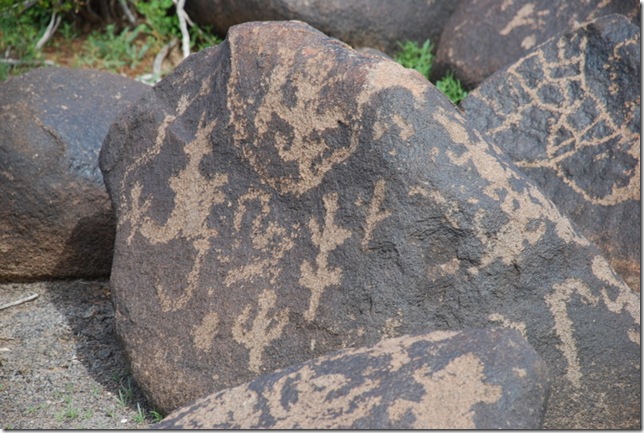 03-02-10 Painted Rock Petroglyph Park (41)