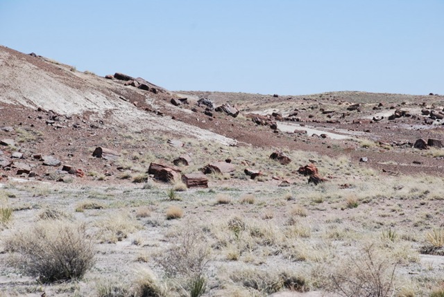 [04-14-10 Painted Desert - Petrified Forest 195[2].jpg]