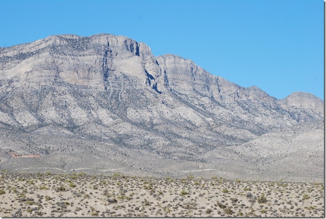 11-26-10 Red Rock Canyon (106)