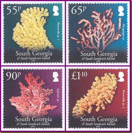 SG Corals 55p-tile
