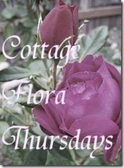 Cottage Flora Thursday button