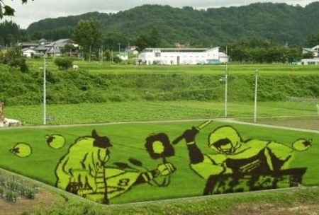 rice-paddy-art (11)