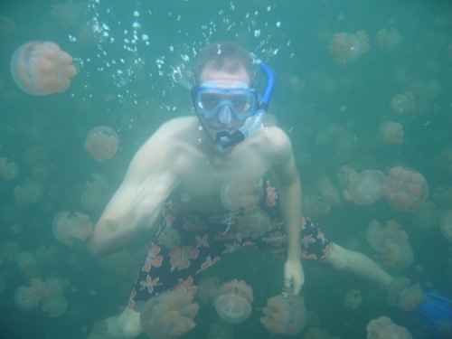 jellyfish-lake (9)
