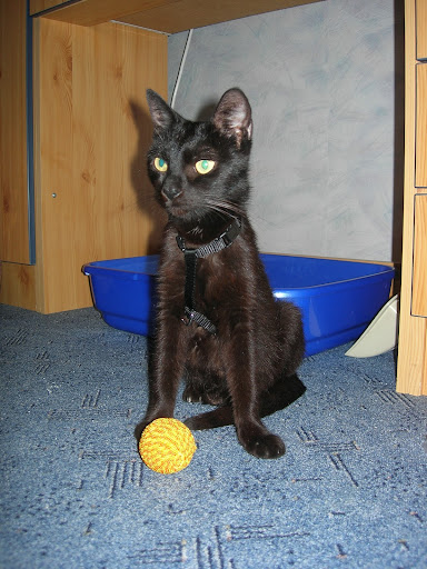 DSCN1337.JPG