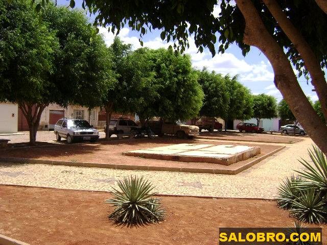Veja o que estao fazendo com nossos jardins se podemos chamarmos de jardins.