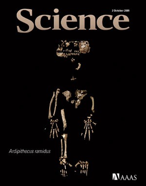 [science-cover-ardi-fossil-s[4].jpg]