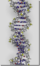 Imagem 01: DNA
