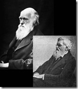 Charles Darwin (acima) e Alfred Wallace (abaixo), naturalistas britânicos.
