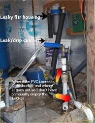 Todd: Pics from Pump house 2 Katydid shell