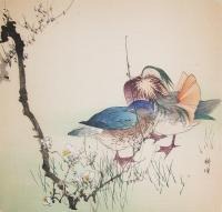 p120-kogyo-two-mandarin-ducks-and-spring-flowers-8547