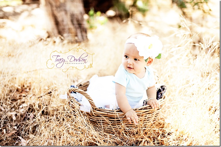 baby basket photography