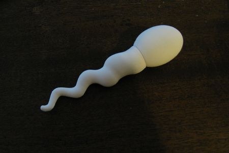 [sperm-usb-flash-drive[6].jpg]
