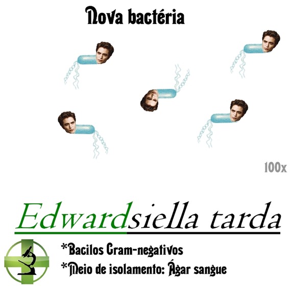 Edwardsiella