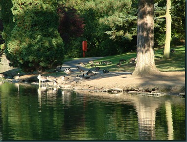 Park Lake 24-08-2003 030