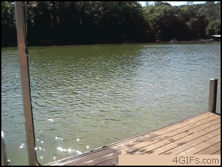 cagando_e_andando_googleboys.gif